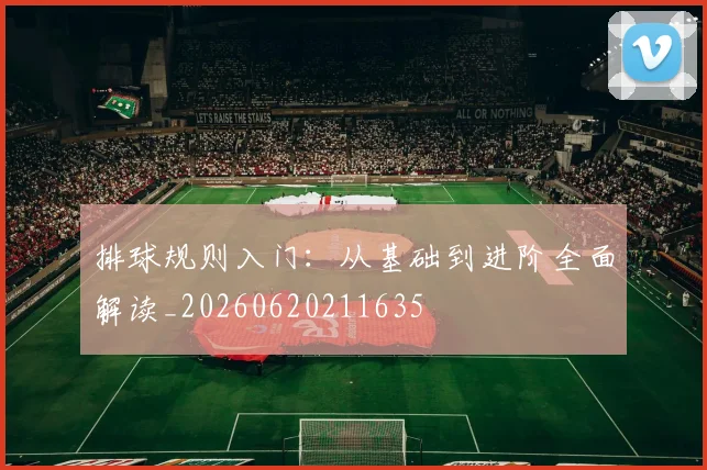 排球规则入门：从基础到进阶全面解读_20260620211635